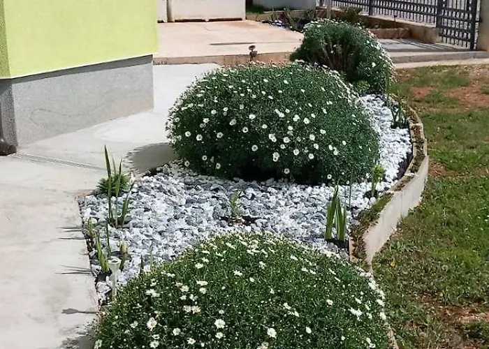House July Villa