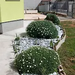 House July Vila