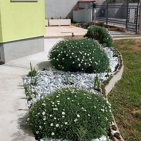 House July Villa